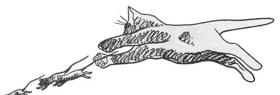 A Washington state reader traded feline-enabled pest control services for fresh-off-the-tree apples.
